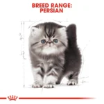Royal Canin Persian Kitten dry food - Image 5