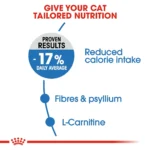 Royal Canin Lightweight care dry food for adult cats 1.5 Kg - Image 3