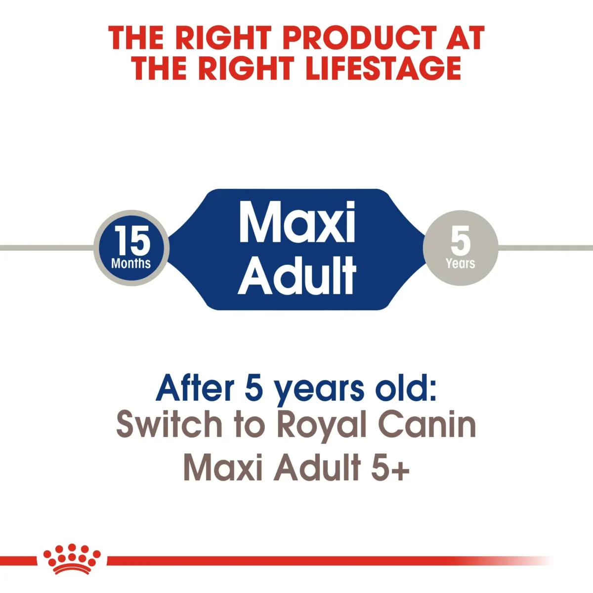 Royal Canin Maxi Adult - Dog Dry food - Image 5