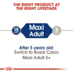 Royal Canin Maxi Adult - Dog Dry food - Image 5