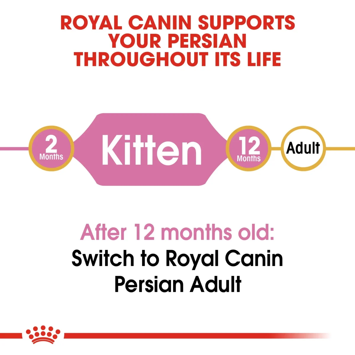Royal Canin Persian Kitten dry food - Image 3