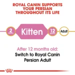 Royal Canin Persian Kitten dry food - Image 3