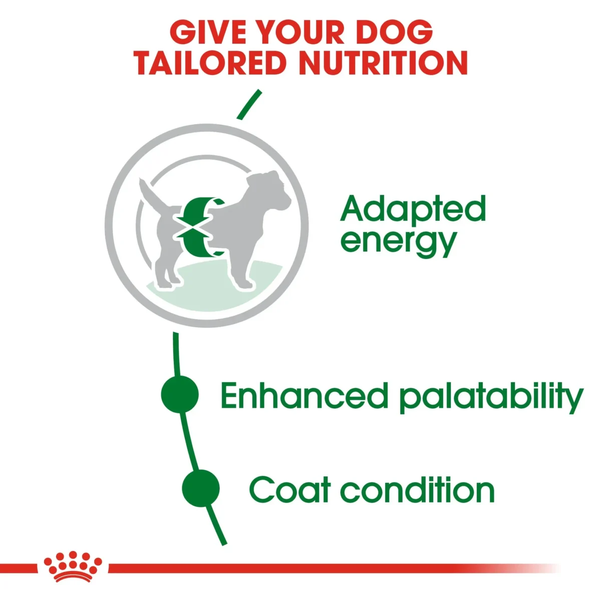 Royal Canin Mini Adult - Dog Dry food - Image 4