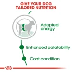 Royal Canin Mini Adult - Dog Dry food - Image 4