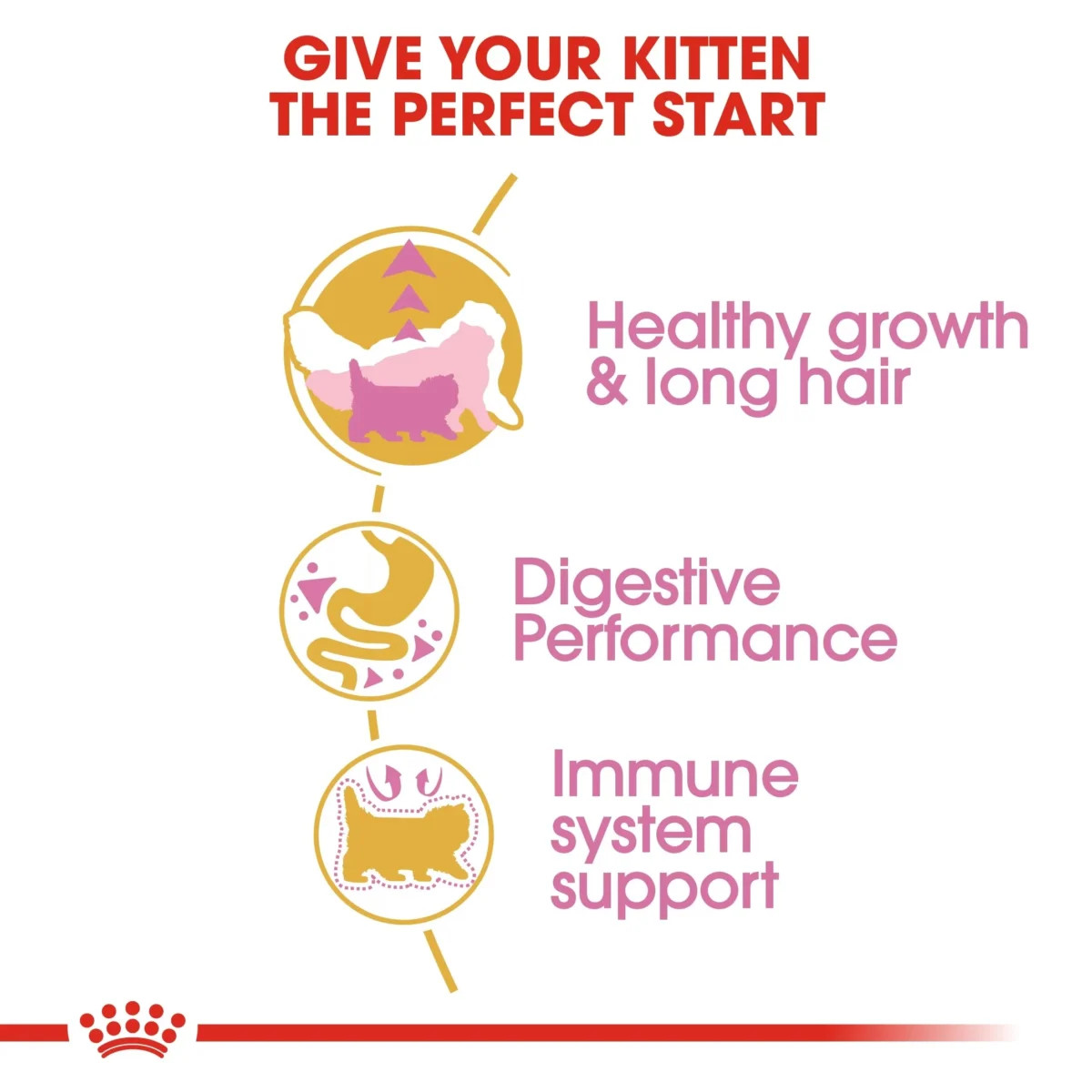 Royal Canin Persian Kitten dry food - Image 2