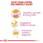 Royal Canin Persian Kitten dry food - Image 2