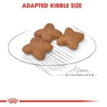 Royal Canin Mini Adult - Dog Dry food - Image 6