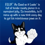 FELIX Adult in Jelly Wet Cat Food 85g - Image 3