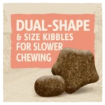 Dog Chow® Sensitive Salmon Dry Dog Food - Image 3