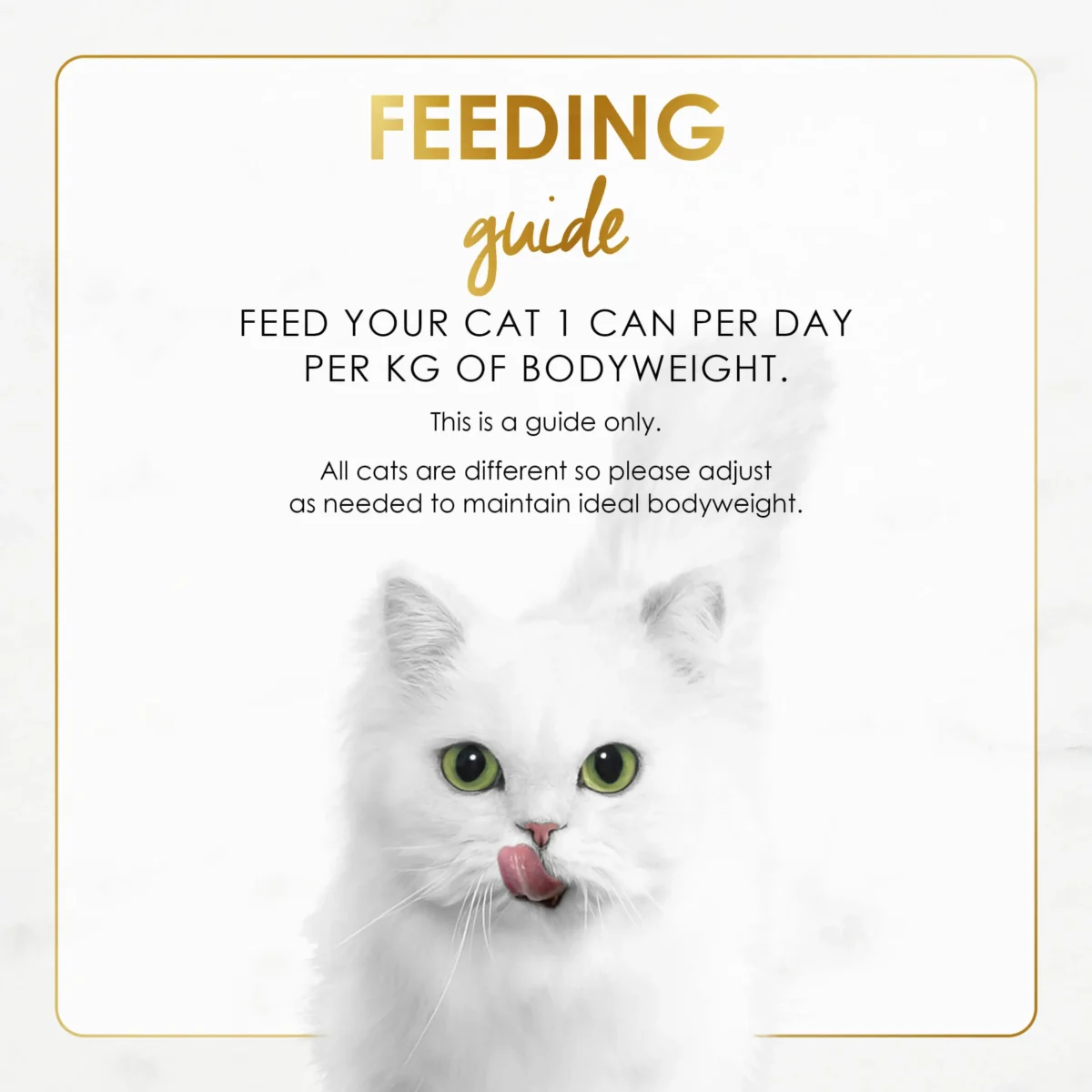 FANCY FEAST Gravy Lovers Gravy Gourmet 85g - Image 2