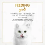 FANCY FEAST Gravy Lovers Gravy Gourmet 85g - Image 2