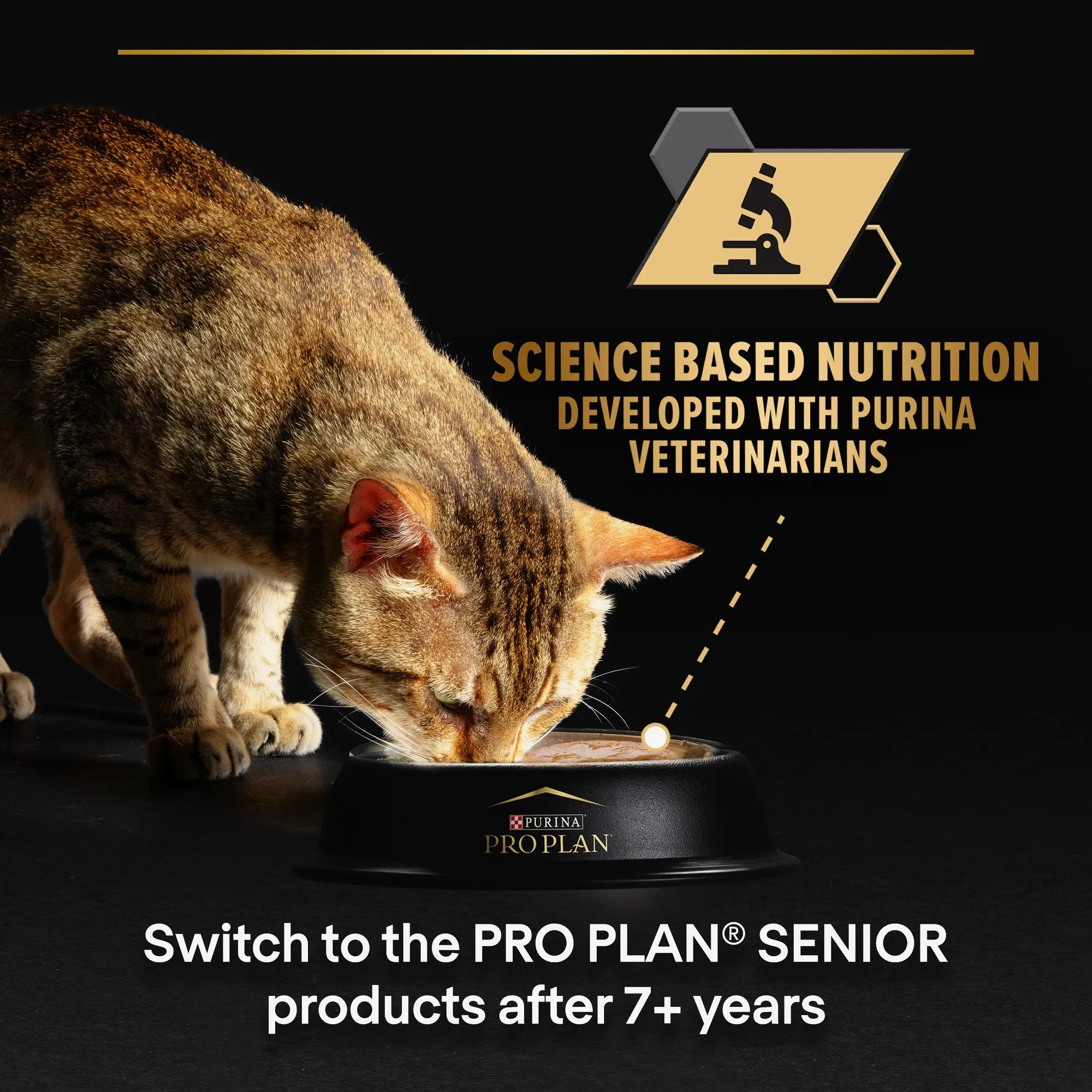 Purina Pro Plan Wet Cat Food, in Gravy 85g - Image 7