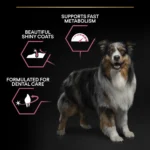 Pro Plan® Dry Dog Food Sensitive Skin Medium Adult with Salmon - Image 4