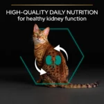 Purina Pro Plan Adult Renal Plus Everyday Dry Cat Food with Chicken - Image 3