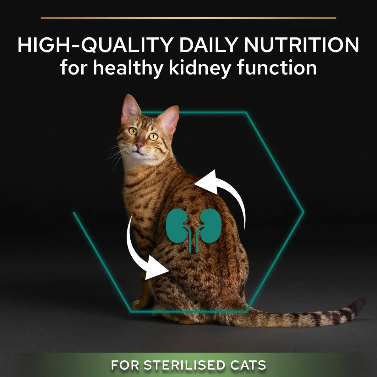 Purina Pro Plan Sterilised Adult Renal Plus Dry Cat Food with Turkey - Image 3