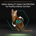Purina Pro Plan Sterilised Adult Renal Plus Dry Cat Food with Turkey - Image 3