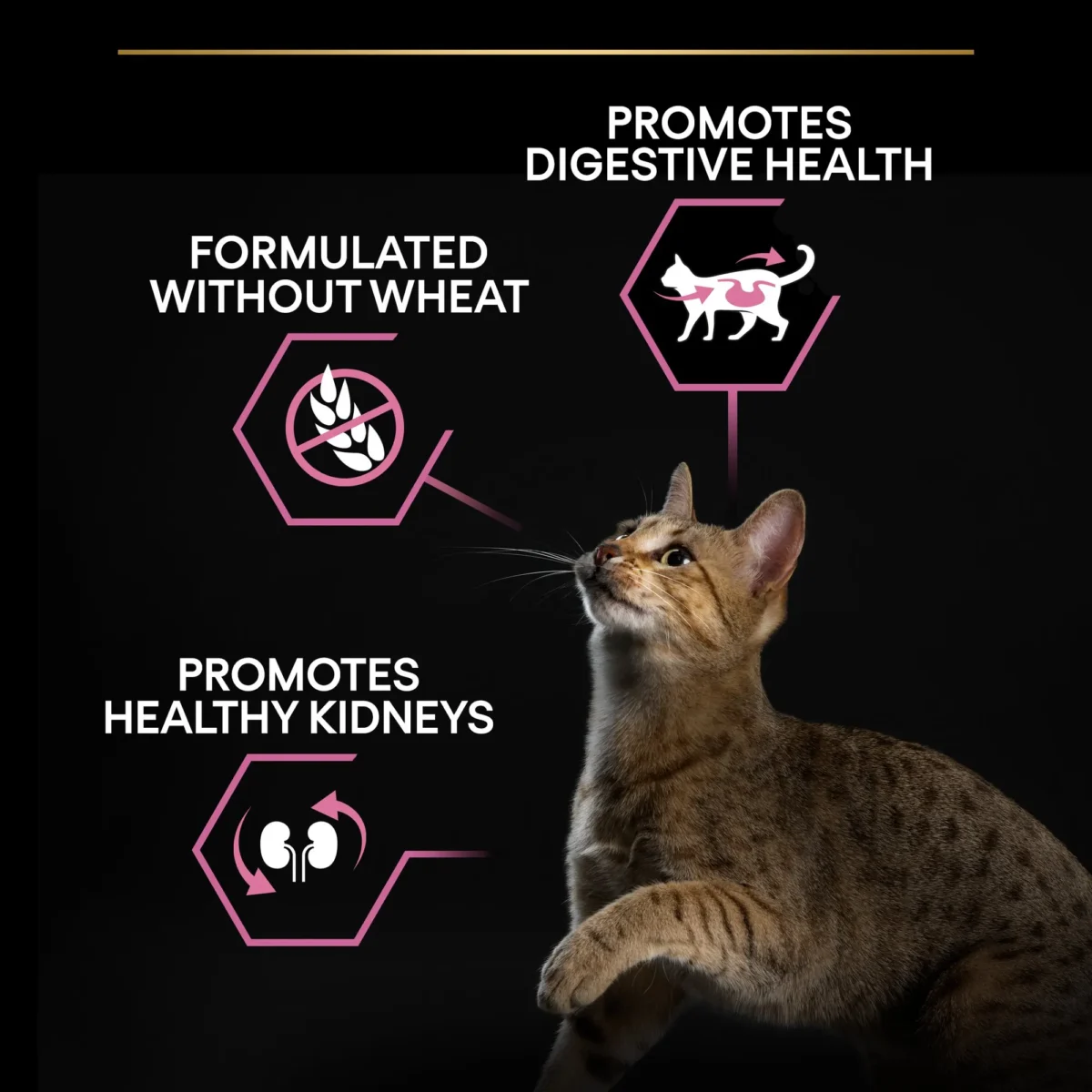Purina Pro Plan Adult Vital Functions Everyday Dry Cat Food with Salmon 1.5 Kg - Image 3