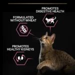 Purina Pro Plan Adult Delicate Digestion, Dry Cat Food with Turkey - Image 4