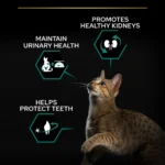Purina Pro Plan Sterilised Adult Renal Plus Dry Cat Food with Turkey - Image 4