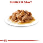 Royal Canin Mini Adult Wet Food 85g - Image 2