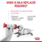 Royal Canin Babycat Milk 300g - Image 3