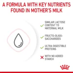 Royal Canin Babycat Milk 300g - Image 4