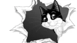 Felix Cat Soft Food – in Jelly 85g - Image 2