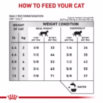 Royal Canin Feline Urinary S/O dry food for lower urinary tract disease - Image 6