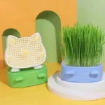 Cat Grass Seeds - Image 2