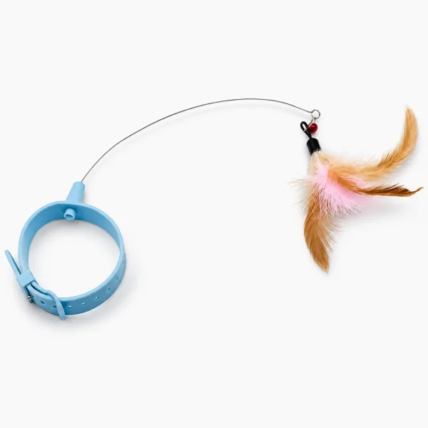 Collar With Wand Cat Toy