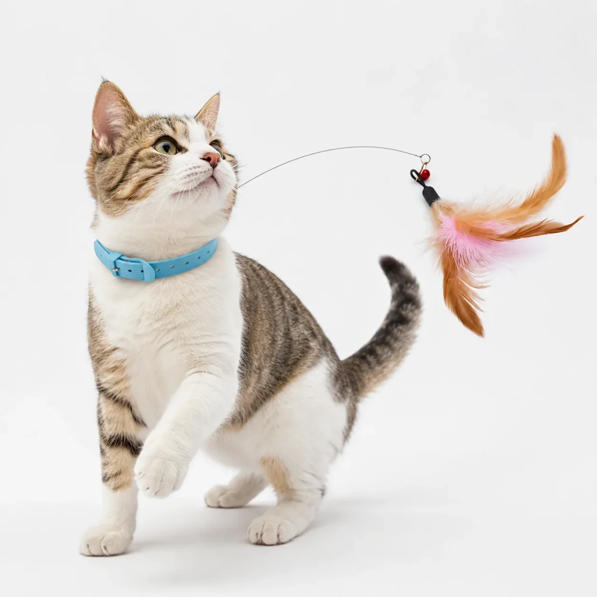 Collar With Wand Cat Toy - Image 2