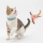 Collar With Wand Cat Toy - Image 2