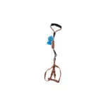 Bomei Multicolor Leash & Harness for Dogs