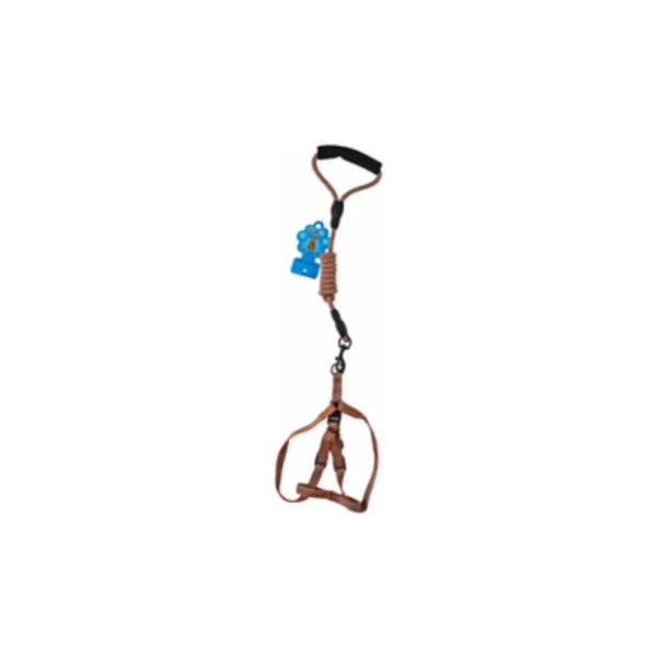 Bomei Multicolor Leash & Harness for Dogs