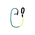 Multicolored Dog Leash