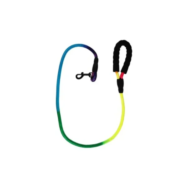 Multicolored Dog Leash