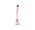 MY Small Dog Harness with Leash - Image 2