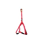 MY XL Dog Harness with Leash