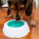Frosty Pet Bowl - Image 5