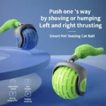 Teasing Cat Ball Toy