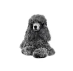 Royal Canin Poodle Adult Dry Dog Food 3 Kg - Image 3
