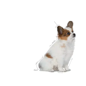 Royal Canin X-Small Puppy Dry Dog Food 1.5 Kg - Image 2