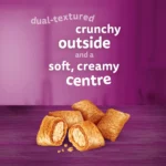Whiskas Temptations Cat Treats with Chicken & Cheese 60g - Image 2