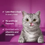 Whiskas Temptations Cat Treats with Chicken & Cheese 60g - Image 3