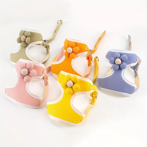 Pet Harness With Leash For Small Dogs & Cats