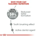Royal Canin Oral Care 1.5 Kg - Image 3