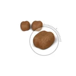 Royal Canin Oral Care 1.5 Kg - Image 5