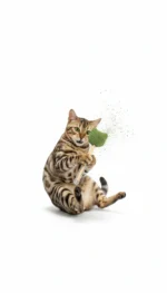 Nunbell Catnip Toy - Image 8
