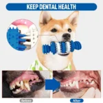 Nunbell Dental Chewing Toy - Image 5