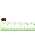 VetriScience Composure Feline Chews 30 Bite-Sized Chew - Image 6